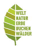 Weltnaturerbe Buchenwälder