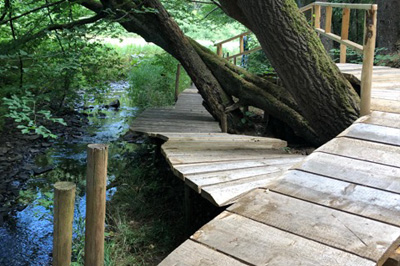 Naturbastelwerkstatt, Ferienhaus Emma, Maschke